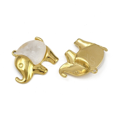 304 Stainless Steel Resin Pendants STAS-L302-05G-1