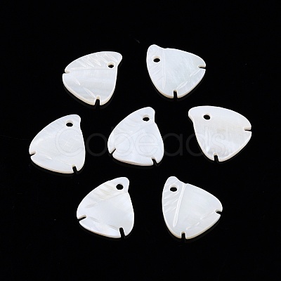 Natural Freshwater Shell Charms SHEL-N026-202-1