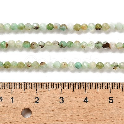 Natural Serpentine Beads Strands G-B107-A05-03-1