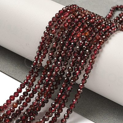 Natural Garnet Beads Strands G-I341-09C-1