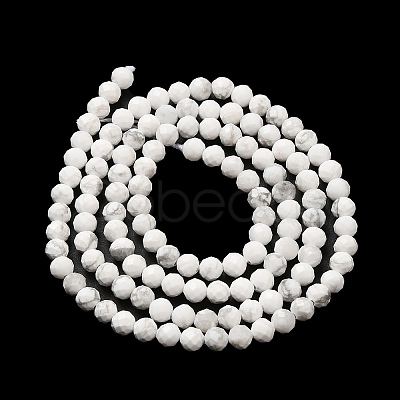 Natural Howlite Beads Strands X-G-E608-A01-B-1