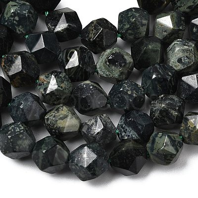 Natural Kambaba Jasper Beads Strands G-Z119-A20-02-1