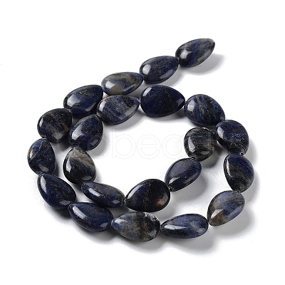 Natural Sodalite Beads Strands G-L242-19-1