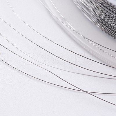 Steel Wire TWIR-E001-0.1mm-1