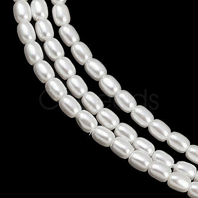 Electroplated Shell Pearl Beads Strands BSHE-H113-06A-06-1