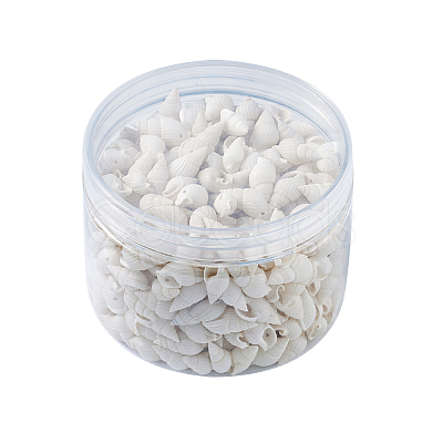 Natural Trumpet Shell Beads BSHE-KS0001-01-1