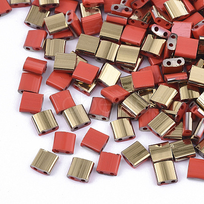 FGB 2-Hole Glass Seed Beads SEED-S031-L-045-G-1