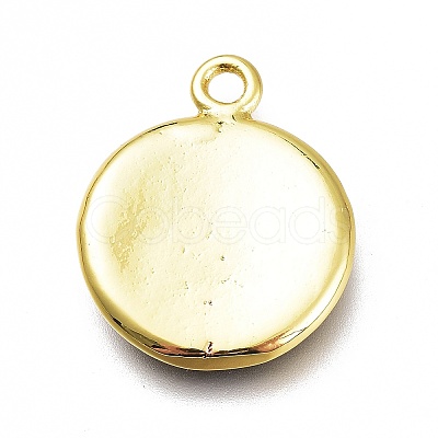 Brass Enamel Pendants KK-H103-02O-G-1