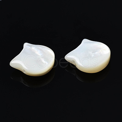 Natural White Shell Beads SSHEL-S258-99B-1