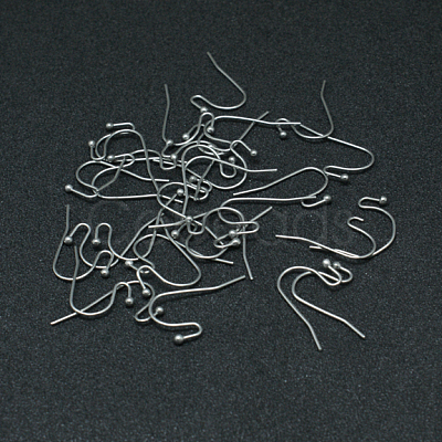 Tarnish Resistant 304 Stainless Steel Earring Hooks STAS-G140-73P-1