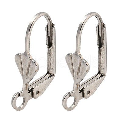 Non-Tarnish 304 Stainless Steel Leverback Earring Findings STAS-P360-02A-P-1