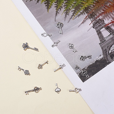 Tibetan Style Alloy Key Pendants TIBEP-X0001-02-AS-1