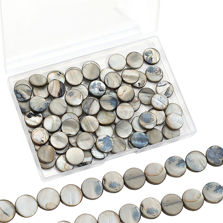 4 Strands Shell Beads Strands SHEL-SC0001-66-1
