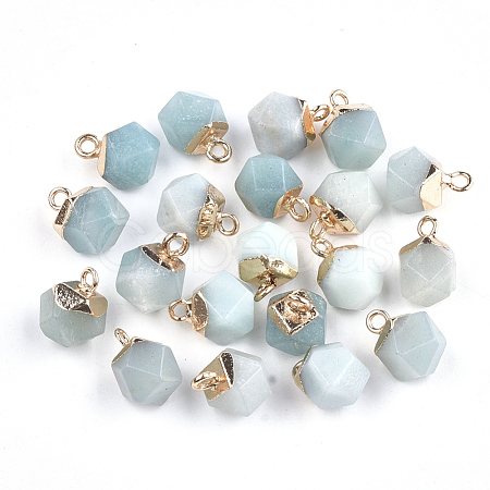 Electroplate Natural Amazonite Charms X-G-S344-08F-1