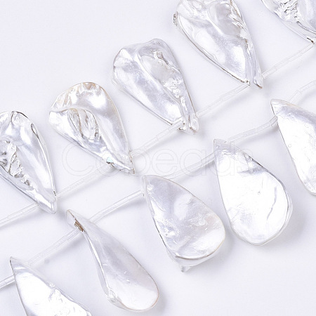 Spray Painted Natural Freshwater Shell Beads Strands SHEL-S276-69C-1