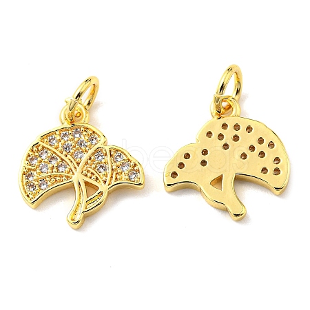 Rack Plating Brass Micro Pave Cubic Zirconia Charms KK-D036-08G-1