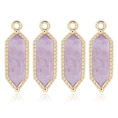 4Pcs Hexagon Natural Amethyst Faceted Pendants KK-BC0015-92A-G-1