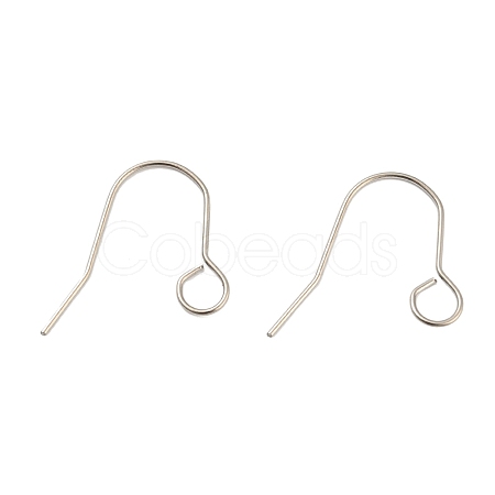 Tarnish Resistant 304 Stainless Steel Earring Hooks STAS-B047-31P-1