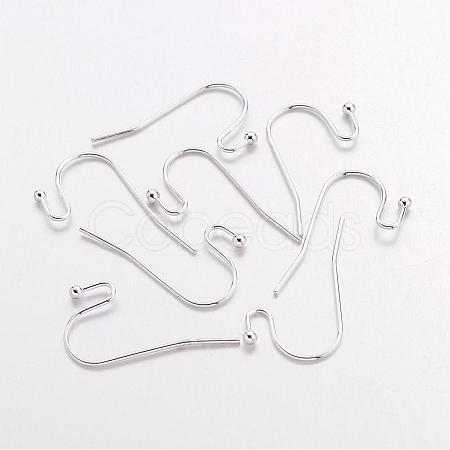 Brass Earring Hooks J0JQN-S-1