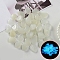 Resin Luminous Glow in the Dark Pebbles Stone, Vase Fillers, Nuggest, White, 20~30mm