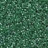 MIYUKI Delica Beads SEED-X0054-DB1889-3