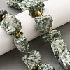 Raw Rough Natural Green Spot Jasper Beads Strands G-Z087-B16-1