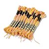 10 Skeins 6-Ply Polyester Embroidery Floss OCOR-K006-A45-1