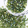 FGB Grade A Glass Seed Beads SEED-S022-05H-1