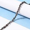 Natural Ice Obsidian Beads Strands G-G018-34-4