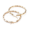 201 Stainless Steel Hoop Earrings EJEW-I245-07A-2