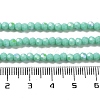 Opaque Glass Beads Strands EGLA-A035-P3mm-L14-4
