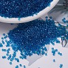 MIYUKI Delica Beads SEED-X0054-DB0714-1
