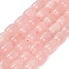 Natural Rose Quartz Beads Strands G-H319-A05-02-2