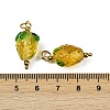 304 Stainless Steel with Handmade Lampwork Pendants STAS-Q352-02G-B-3
