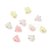 Transparent Acrylic Charms PALLOY-JF01603-01-1