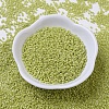 MIYUKI Delica Beads X-SEED-J020-DB0262-2