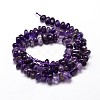 Natural Amethyst Chip Beads Strands X-G-E271-123-2