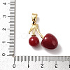 Brass Resin Pendants LS-KK-D383-01G-03-3