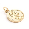 Brass Micro Pave Cubic Zirconia Pendants ZIRC-E164-34A-G-1