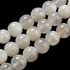 Natural White Moonstone Beads Strands G-F306-05AB-6mm-01-4