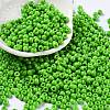 Baking Paint Glass Seed Beads SEED-H002-I-A510-1