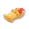 Opaque Resin Pendants RESI-K020-03F-2