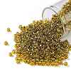 TOHO Round Seed Beads SEED-JPTR08-2155S-1