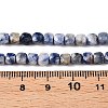 Natural Blue Spot Jasper Beads Strands G-N342-113-5