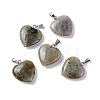 Natural Labradorite Pendants G-G956-B24-FF-2