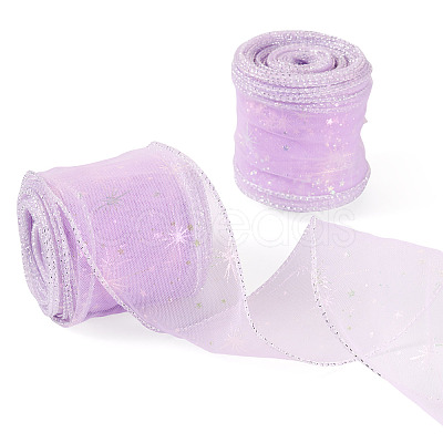 Polyester Deco Mesh Ribbons OCOR-TAC0024-004B-1