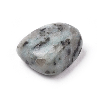 Natural Sesame Jasper/Kiwi Jasper Beads G-K302-A01-1