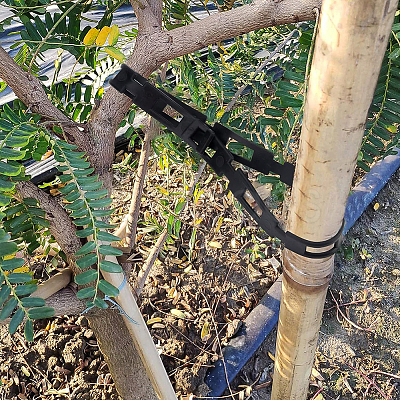 Plastic Cable Ties FIND-WH0001-84-1