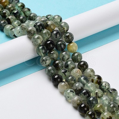 Natural Prehnite Beads Strands X-G-P322-48-10mm-01-1