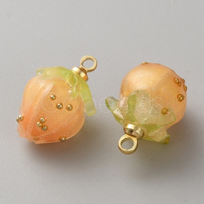 Plastic Pendants FIND-WH0433-14F-1